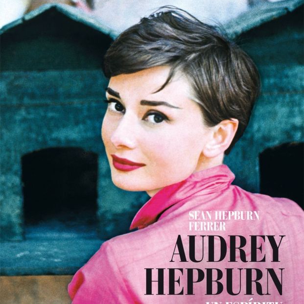 Un Espíritu Elegante, Audrey Hepburn retratada por su hijo