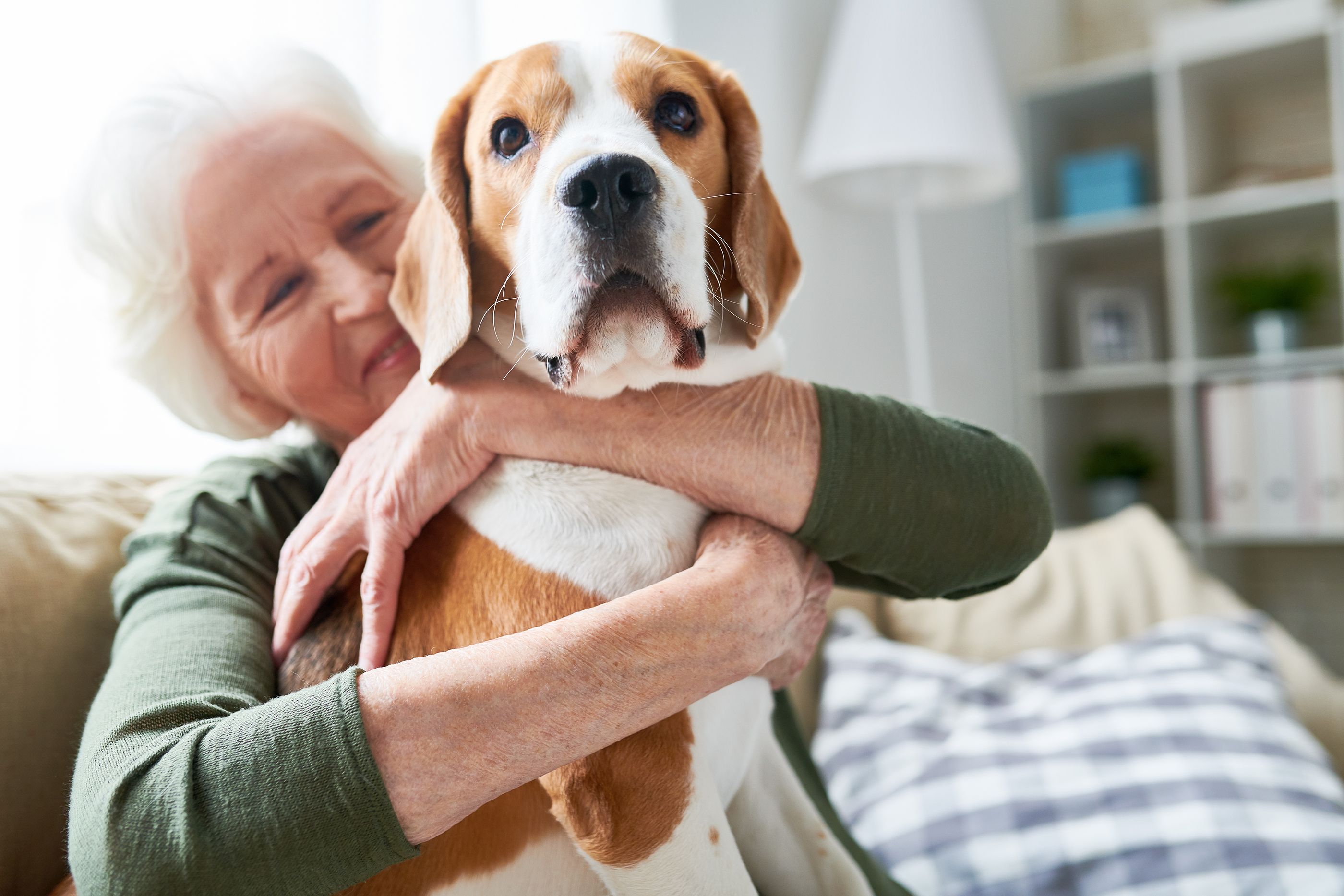 Tener una mascota podría desacelerar el deterioro cognitivo en personas mayores que viven solas. Foto: Bigstock