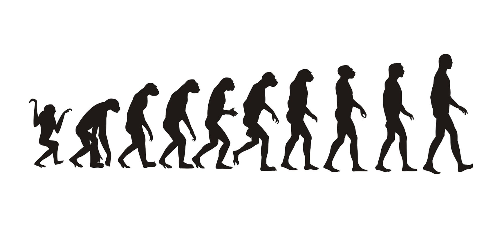 Un estudio pionero considera la evolución humana un impedimento para resolver el cambio climático. Evolución Humana (Bigstock) Un estudio pionero considera la evolución humana un impedimento para resolver el cambio climático. Evolución Humana (Bigstock)