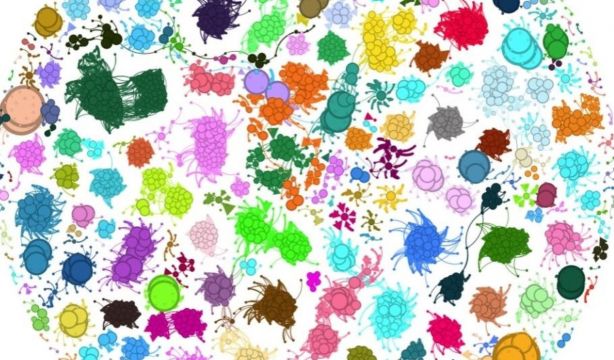 La evolución no es tan aleatoria como se pensaba (Europa Press)