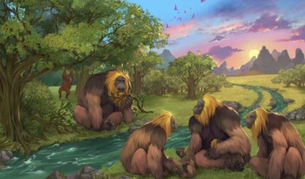 Investigadores australianos desvelan las causas de la extinción del mayor primate de la historia (Europa Press)