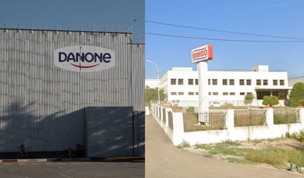 danonebimbo3