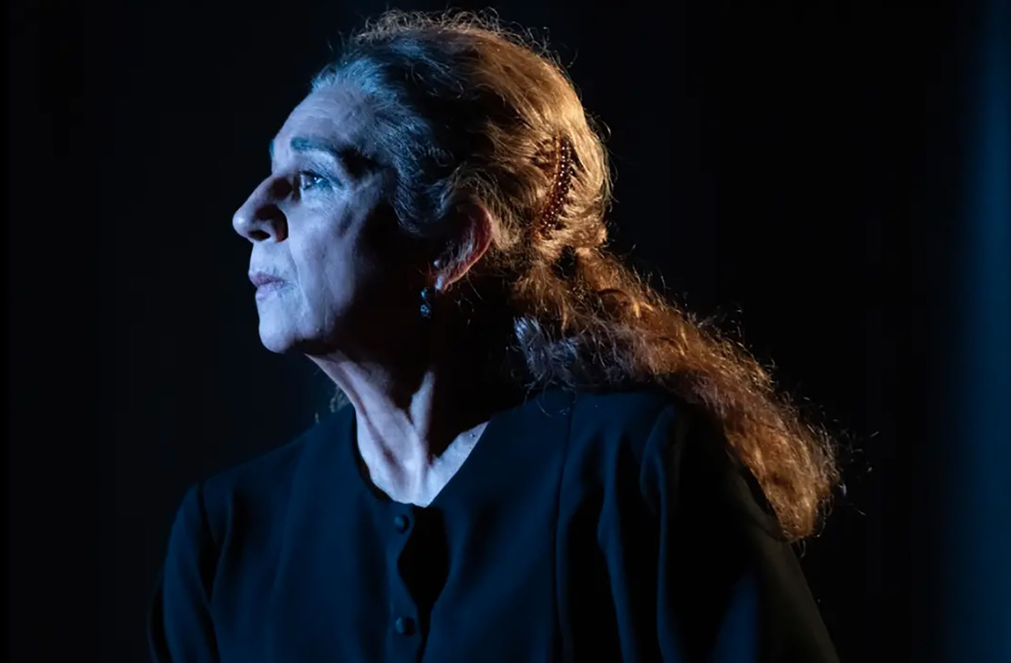 Poncia es un espectáculo protagonizado por Lolita Flores y escrito y dirigido por Luis Luque, a partir de La Casa de Bernarda Alba de Federico García Lorca.