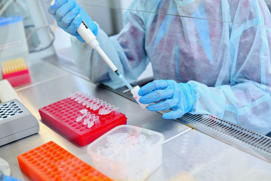 Un tratamiento en investigación basado en pulsos electromagnéticos frena tumores en ratones