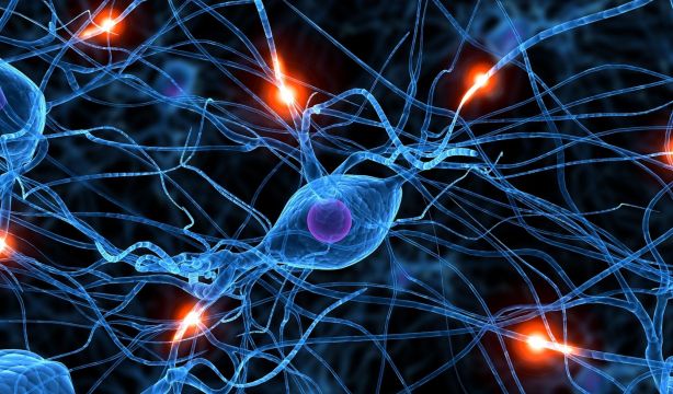 Una nueva estrategia contra el cáncer logra mayor eficacia con menos quimioterapia