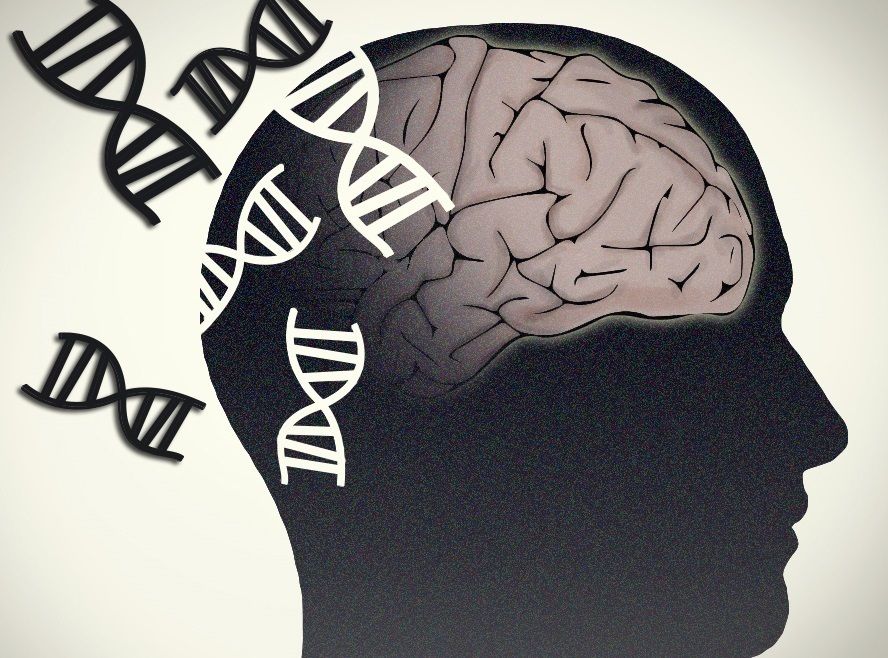 Dibujo sobre la importancia genética en la enfermedad de Parkinson. Fuente: Europa Press