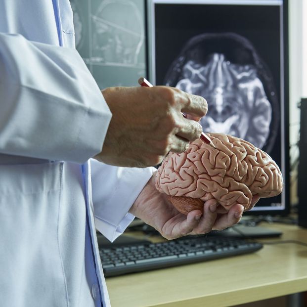 El adelgazamiento de una región del cerebro puede indicar riesgo de demencia