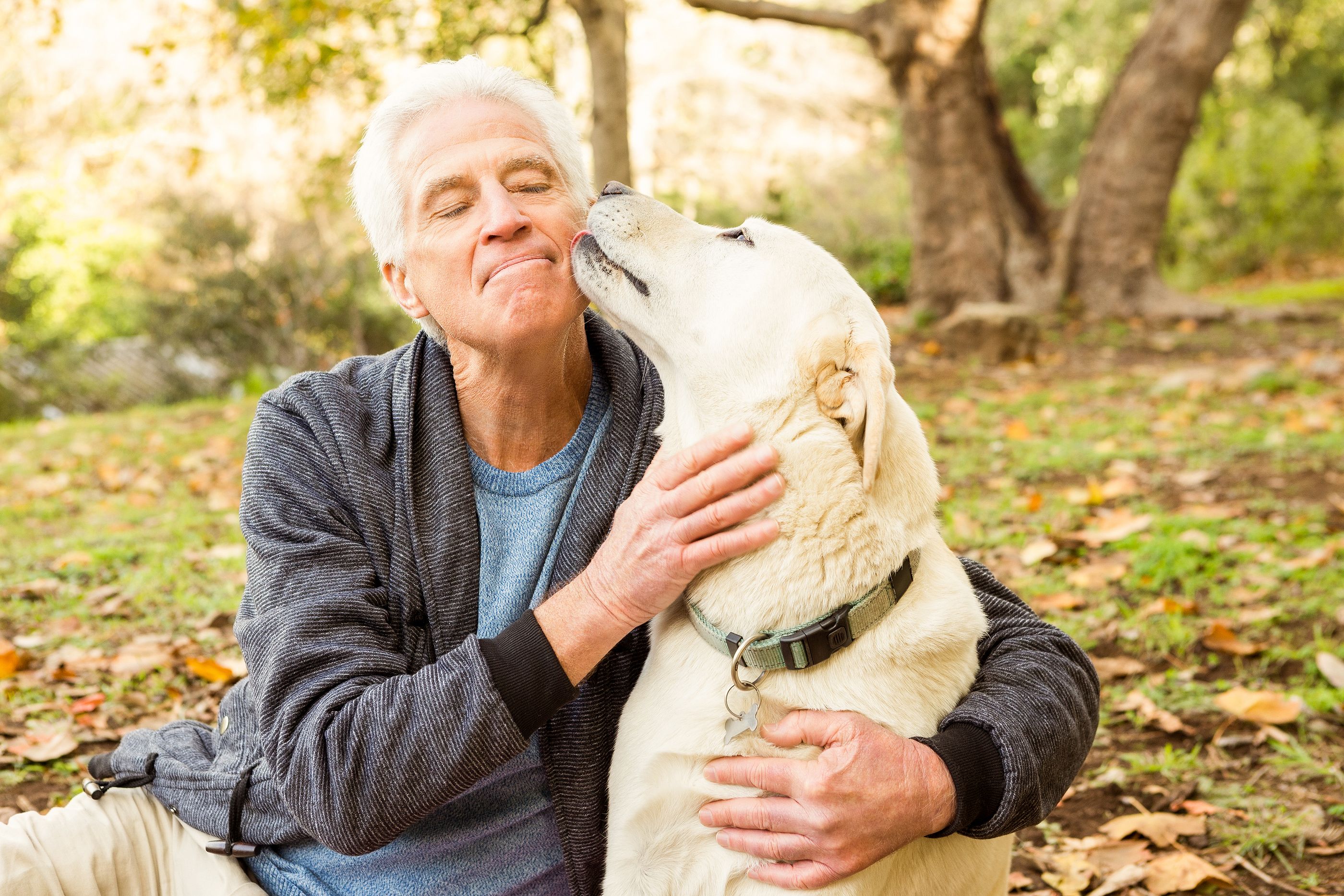 Las personas mayores con perro tienen menos probabilidades de desarrollar una discapacidad