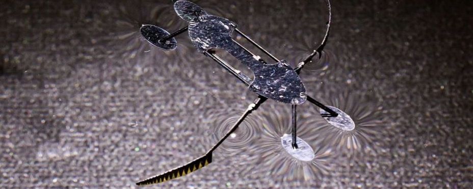 Investigadores desarrollan los micro-robots más pequeños, ligeros y veloces jamás vistos Investigadores desarrollan los micro-robots más pequeños, ligeros y veloces jamás vistos