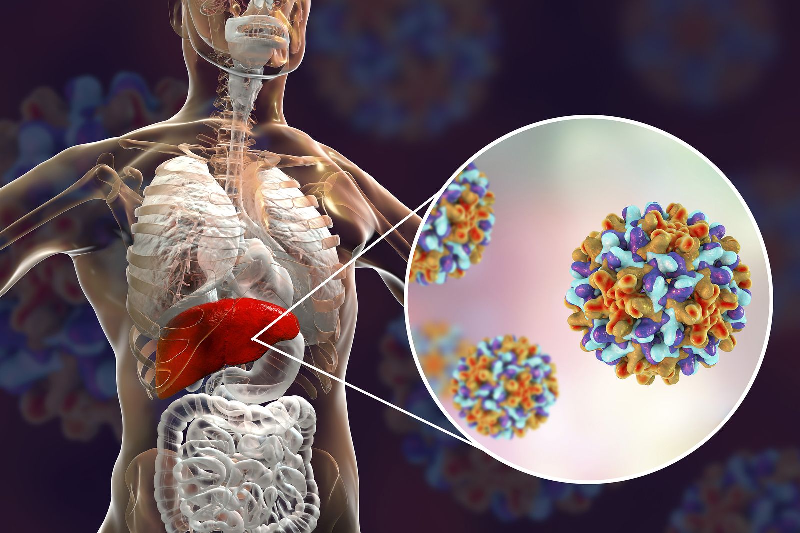 Cómo se contagia el virus de la hepatitis B