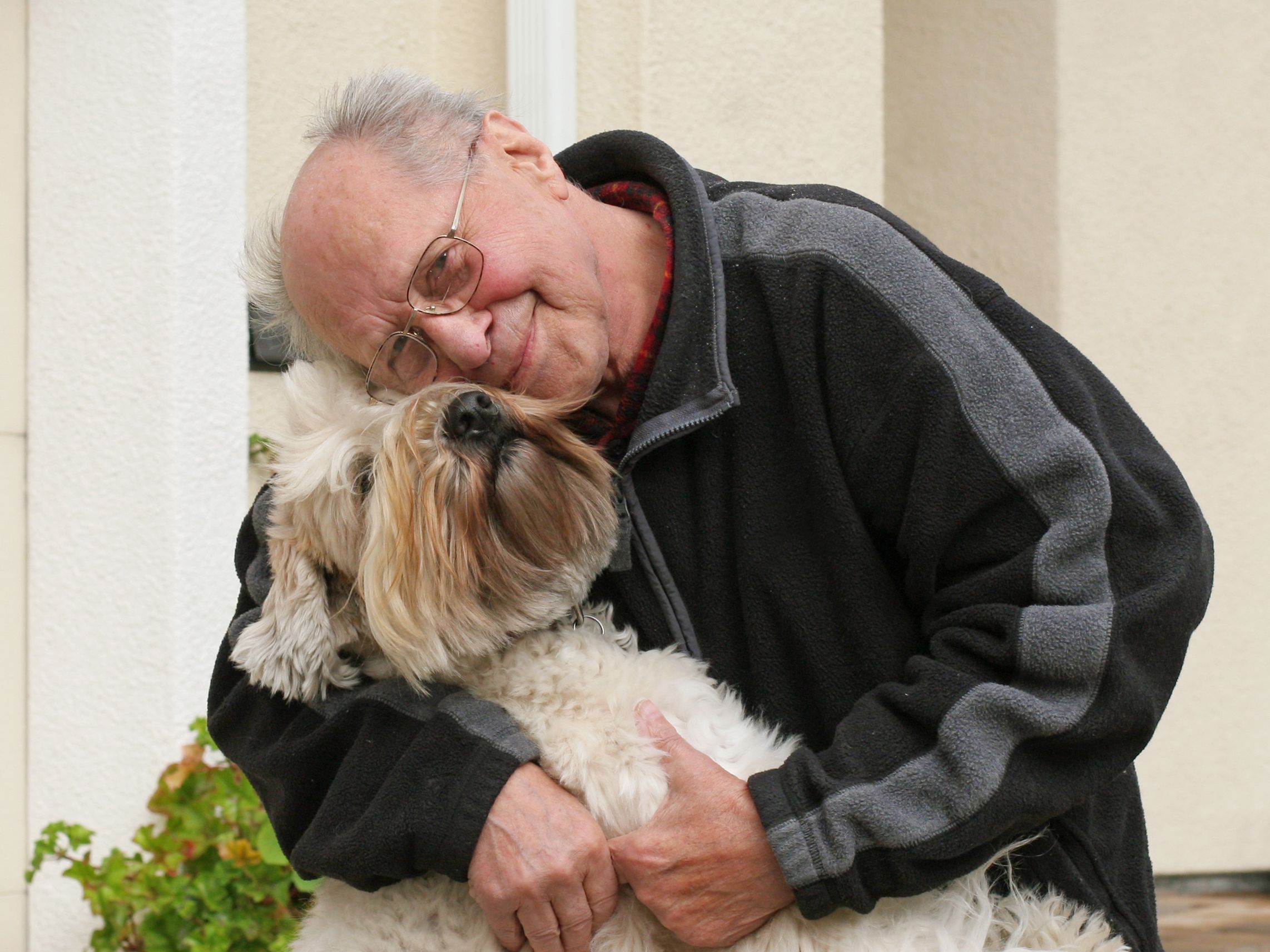 ¿Es legal en España dejar una herencia a tu mascota?