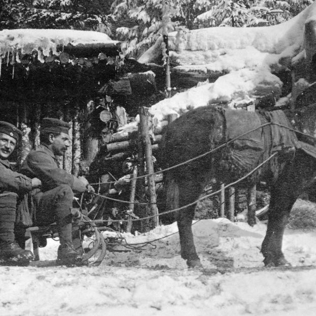 Primera Guerra Mundial 1915 Frente oriental de los Cárpatos