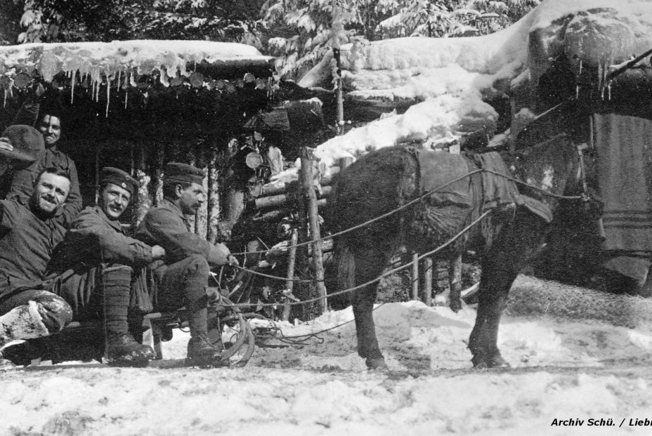 Primera Guerra Mundial 1915 Frente oriental de los Cárpatos