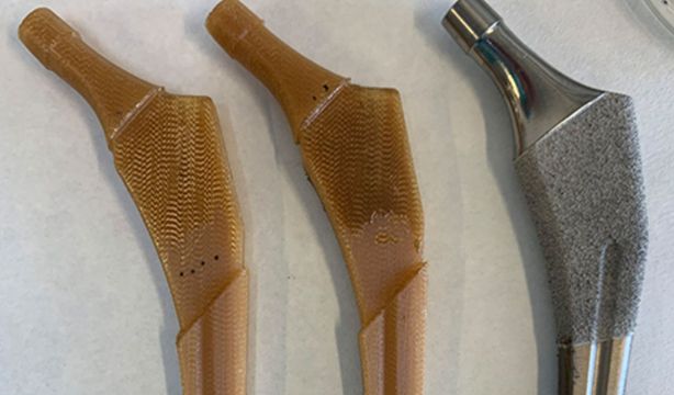 Residuos de remolacha para regenerar huesos