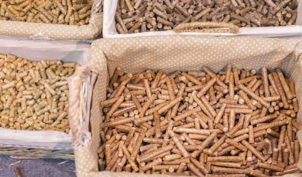 Las dos mejores marcas de pellet, según la OCU (Bigstock)