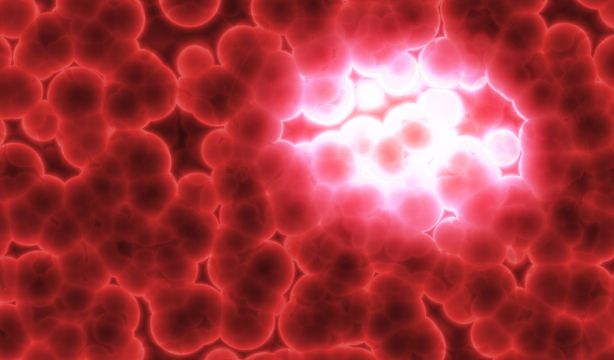 Avance clave contra el cáncer de piel: una vacuna frena su progresión