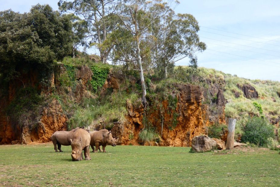 Parque Natural de Cabárceno (Cantabria)