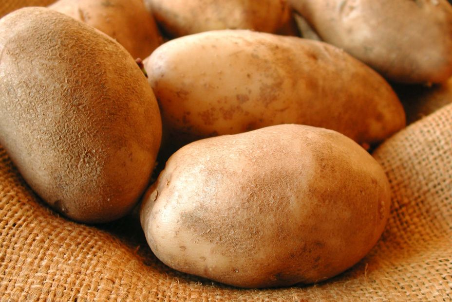 Patatas con brotes, un riesgo para la salud que es mejor evitar (Big Stock)