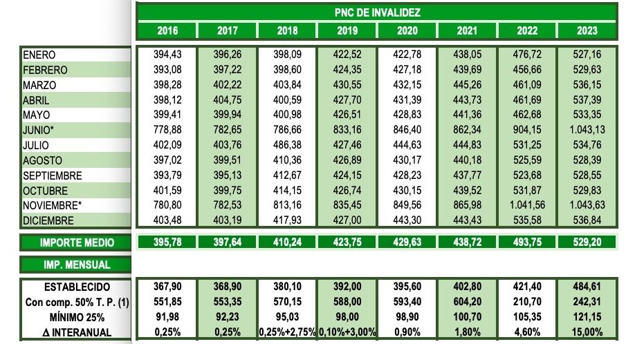 PNC invalidez enero dic 23