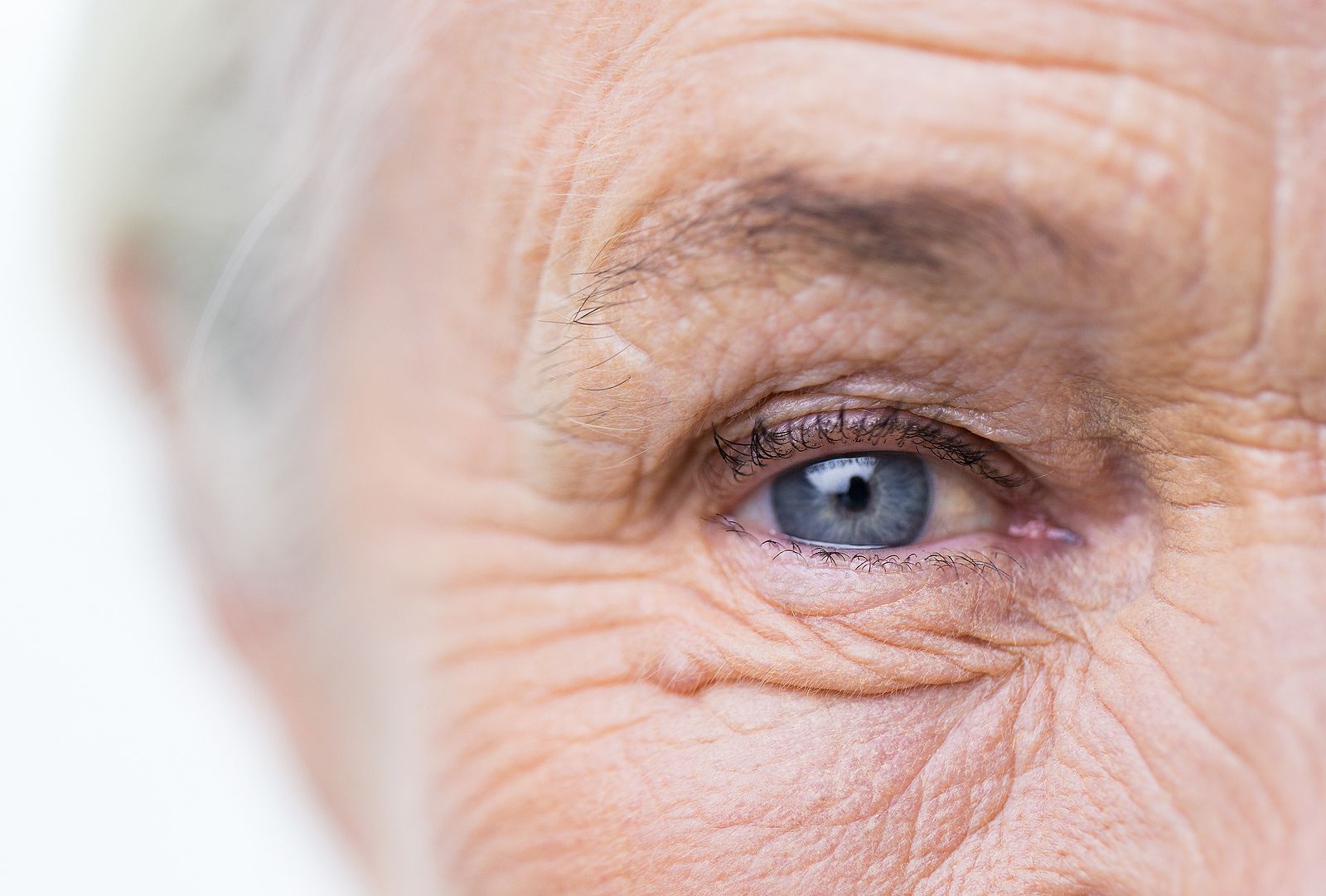 La lente que podría corregir problemas de visión relacionados con el envejecimiento (Big Stock)