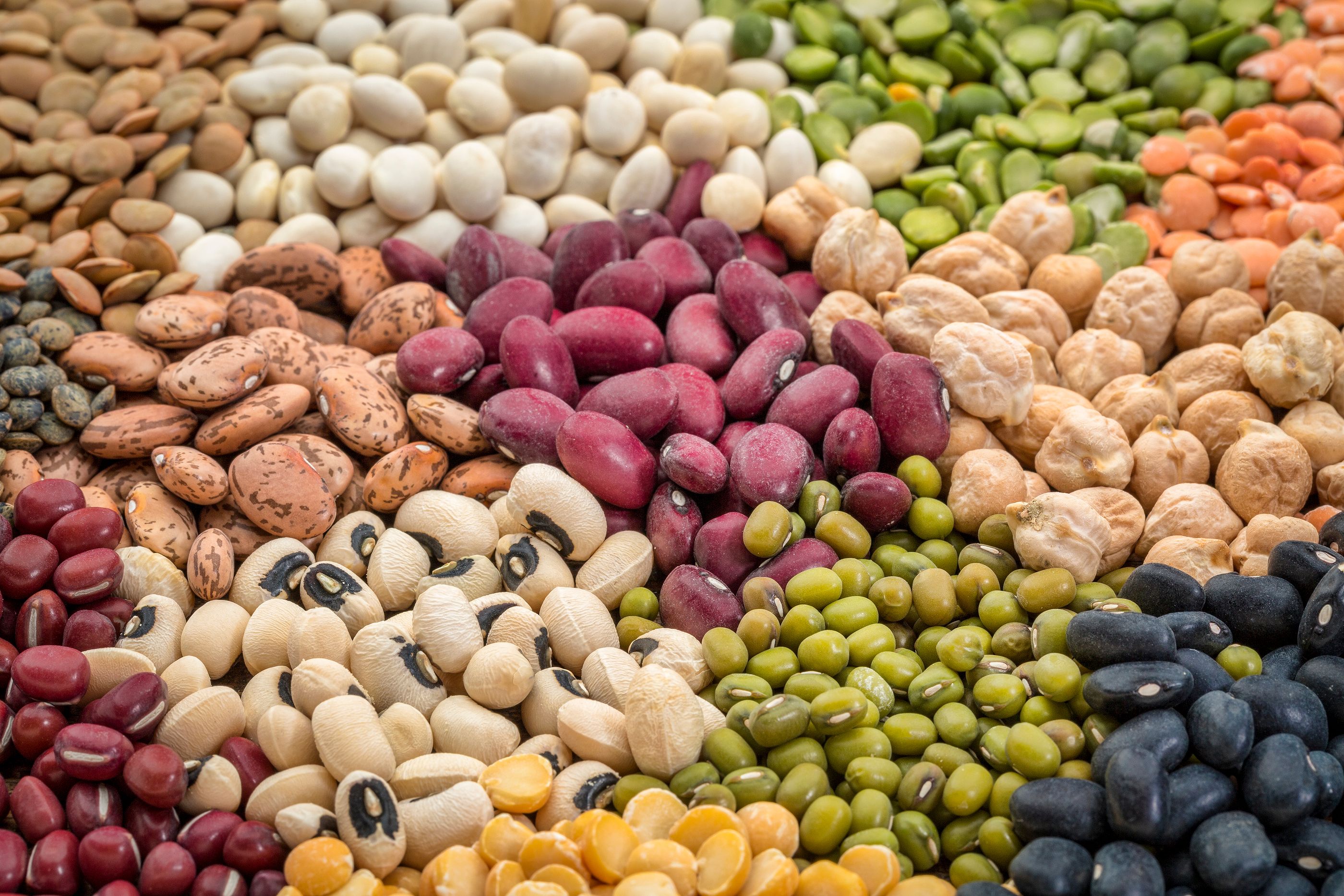 Todo lo que las alubias y los garbanzos hacen por tu salud