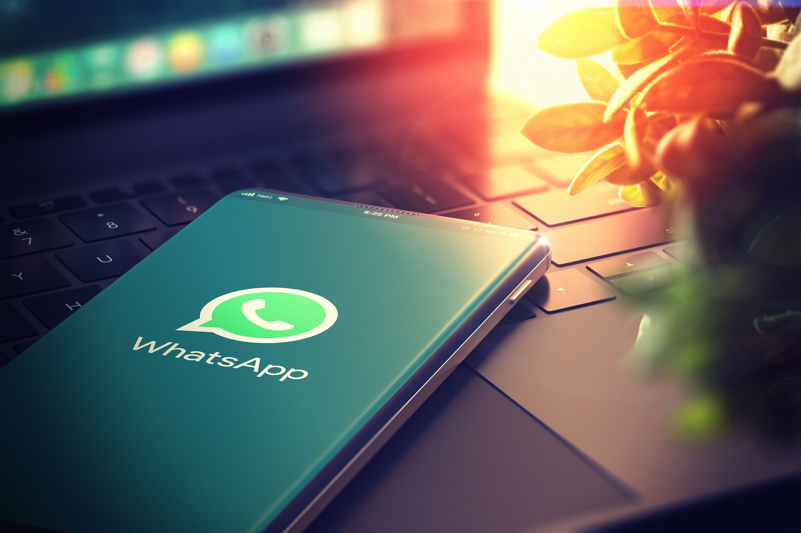 ¡Atención! WhatsApp dejará de funcionar en estos móviles a partir de marzo (Bigstock)