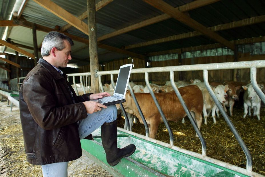La brecha digital golpea a agricultores y ganaderos mayores: “Si nos obligan, dejaremos el campo”. Foto:bigstock