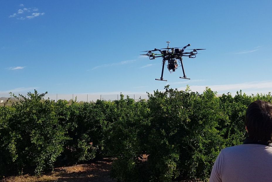 La brecha digital golpea a agricultores y ganaderos mayores: “Si nos obligan, dejaremos el campo”. Foto: EuropaPress 