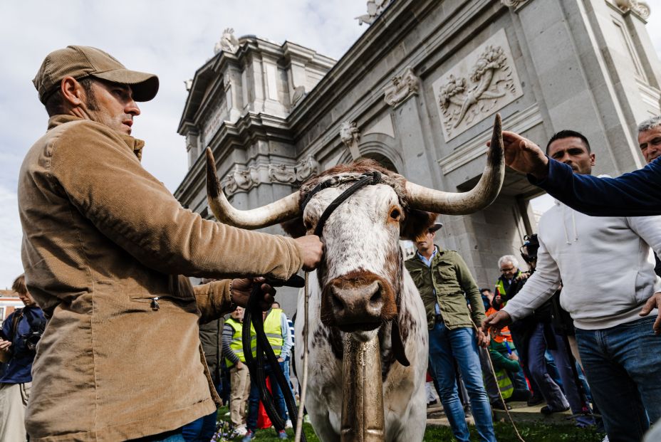 Los tractores toman el centro de Madrid en la protesta por la situación del campo