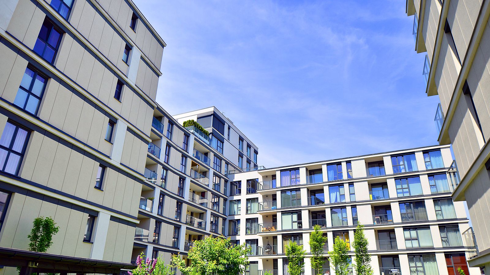Senior living y urbanismo: "La principal traba es que no hay una regulación clara en España" Senior living y urbanismo: "La principal traba es que no hay una regulación clara en España"