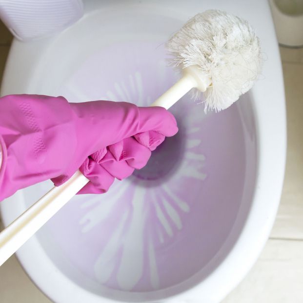 Este es el truco para que la escobilla del váter quede limpia y sin gérmenes durante más tiempo (Bigstock)