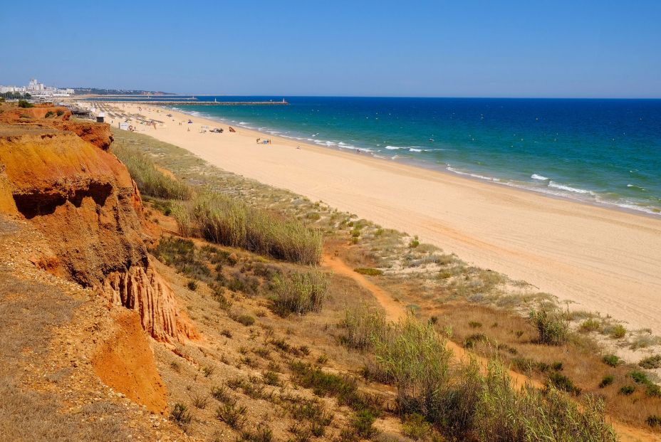 La Playa de la Concha y la de Las Canteras, entre las mejores del mundo según Tripadvisor (Bigstock)