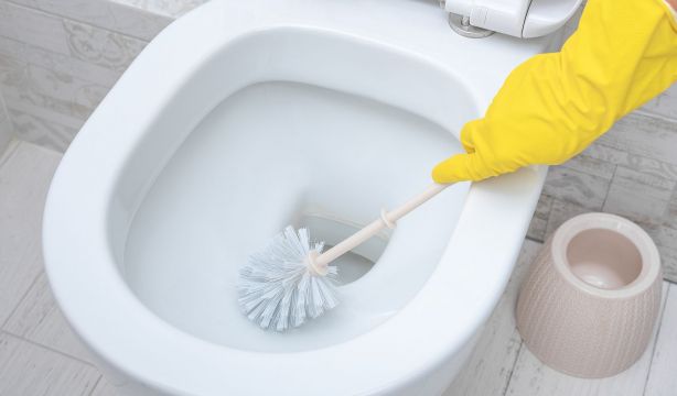 El truco para que la escobilla del váter quede limpia y sin gérmenes durante más tiempo