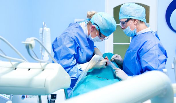 La autopsia confirma que Amadeo murió tras horas de agonía después de ponerse implantes dentales