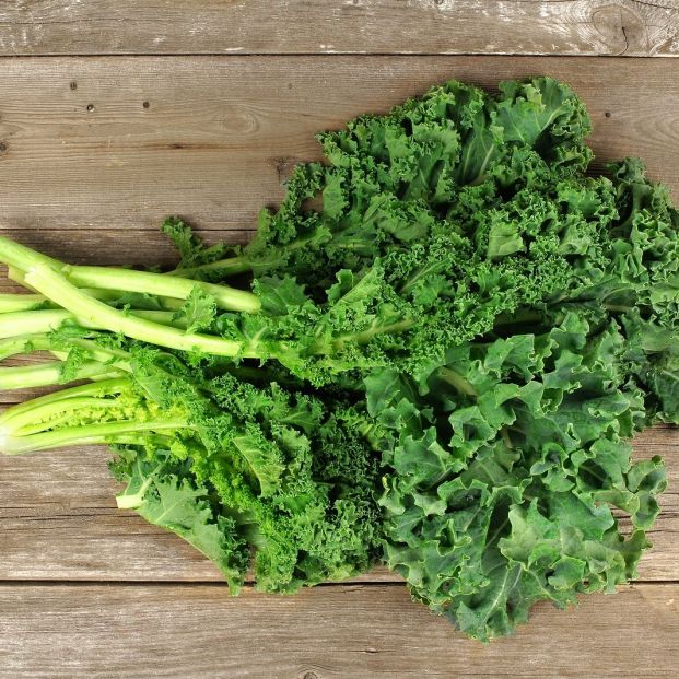 Refrigerar las verduras de hoja verde para evitar el crecimiento de la 'E. coli' (Big Stock)