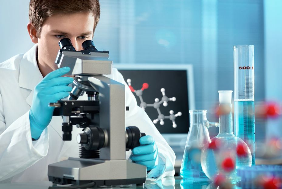 Descubren una proteína que evita que el ADN se triplique, un mecanismo desconocido hasta ahora Descubren una proteína que evita que el ADN se triplique, un mecanismo desconocido hasta ahora
