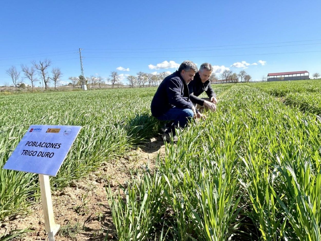 Carlos Novillo: “El IMIDRA mira al futuro de una agricultura adaptada a las nuevas condiciones”. Foto: Comunidad de Madrid