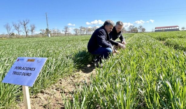 Carlos Novillo: “El IMIDRA mira al futuro de una agricultura adaptada a las nuevas condiciones”. Foto: Comunidad de Madrid