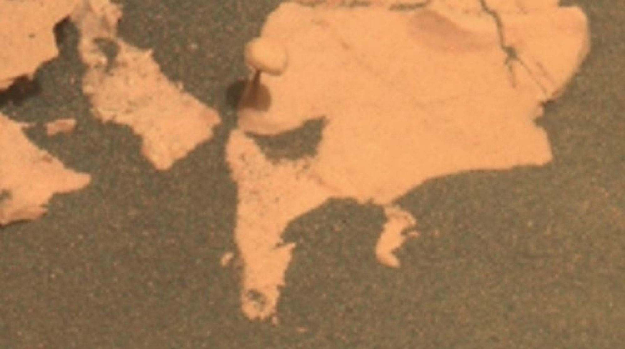 La NASA encuentra una seta en el suelo de Marte EuropaPress 
