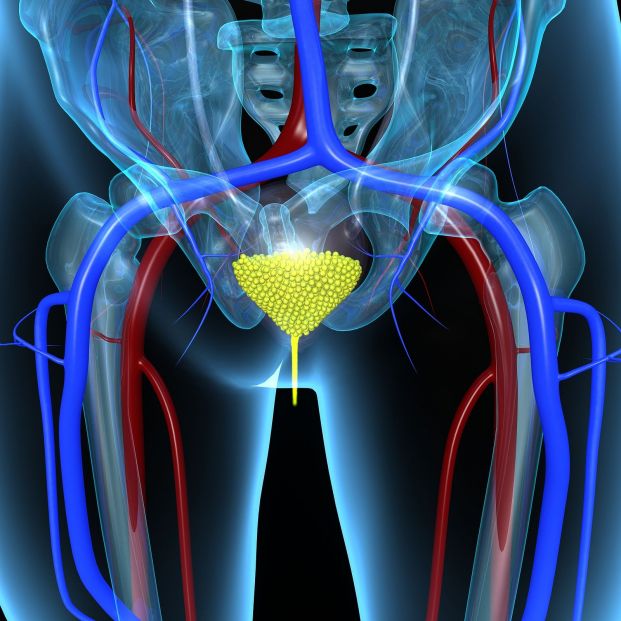 bigstock Urinary Bladder 73439794