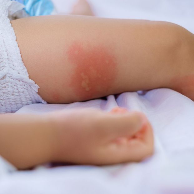 Si vas a donar sangre no comas estos alimentos: puedes poner en riesgo la vida del receptor. bigstock Si vas a donar sangre no comas estos alimentos: puedes poner en riesgo la vida del receptor. bigstock