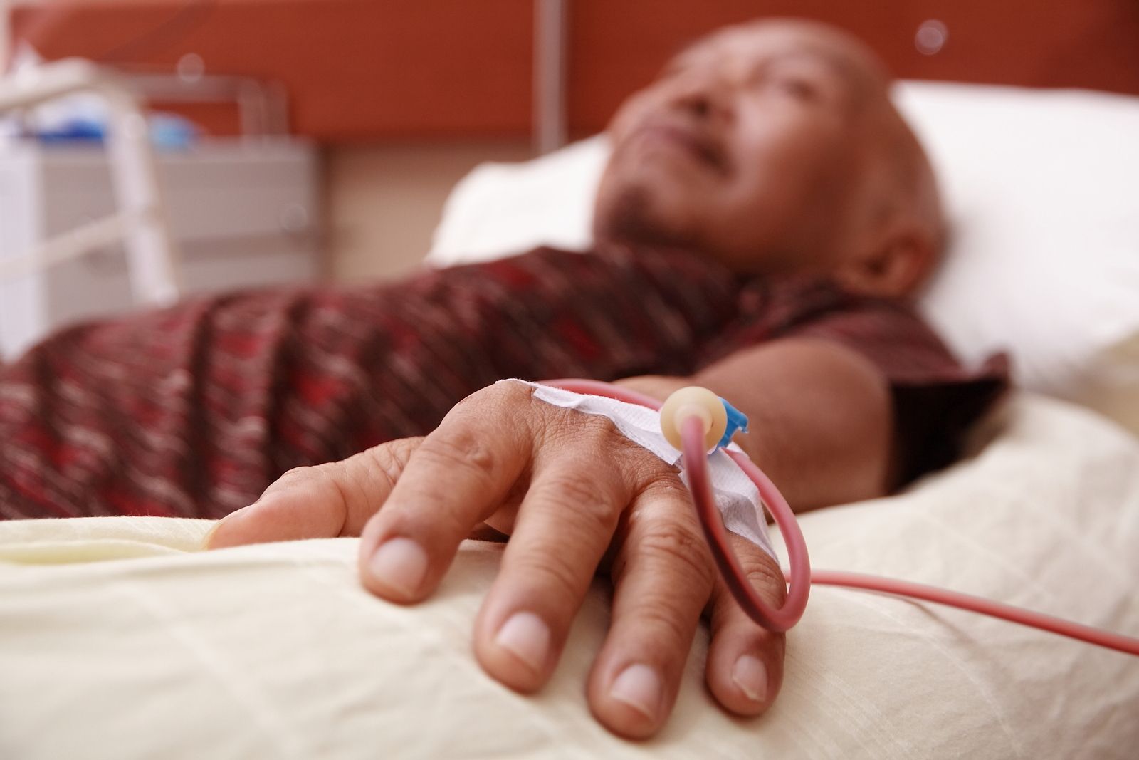 Si vas a donar sangre no comas estos alimentos: puedes poner en riesgo la vida del receptor bigstock Si vas a donar sangre no comas estos alimentos: puedes poner en riesgo la vida del receptor bigstock