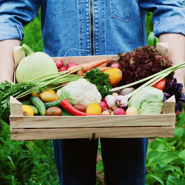 Frutas y verduras en tu propia casa (bigstock)