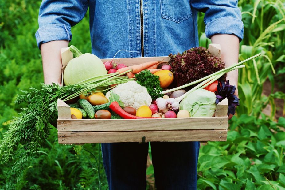 Frutas y verduras en tu propia casa (bigstock)