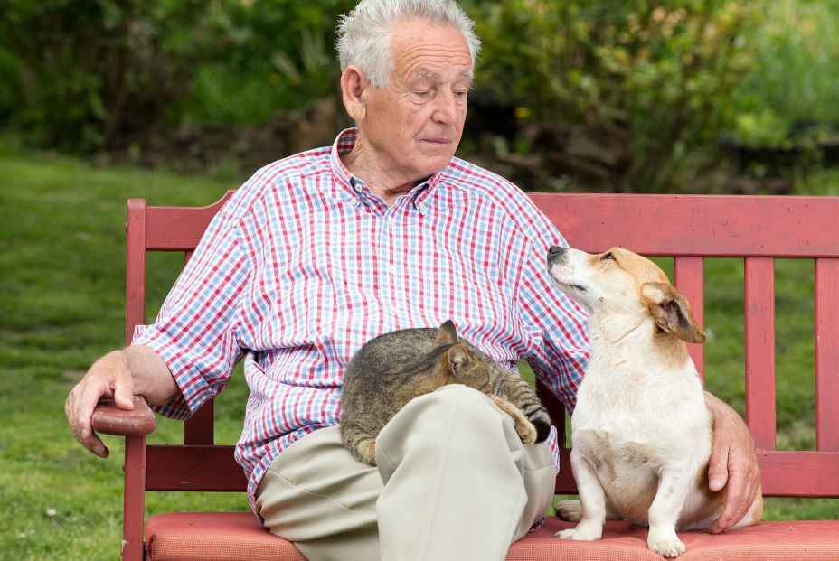 La ciencia confirma los grandes beneficios de tener un perro