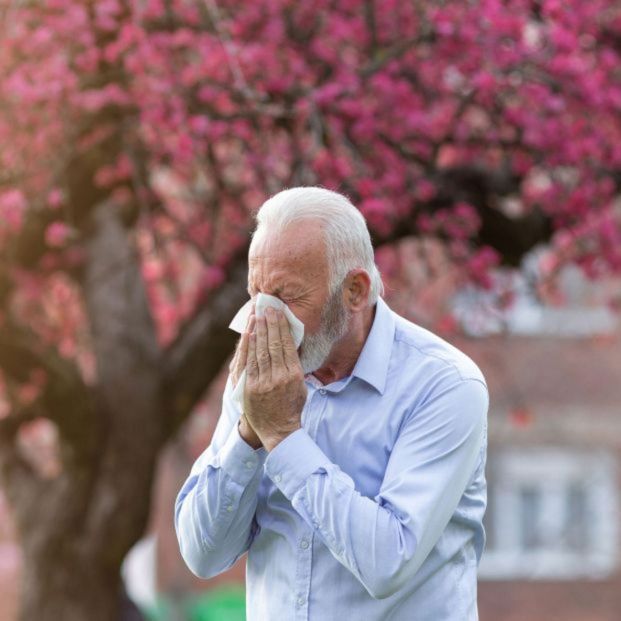 Alergias durante todo el año, la nueva normalidad