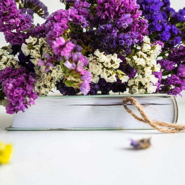 Cómo secar flores correctamente para poder conservarlas Cómo secar flores correctamente para poder conservarlas