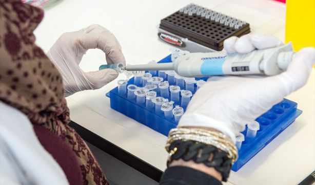 Crean un hidrogel que podría servir para reparar lesiones medulares (Europa Press)