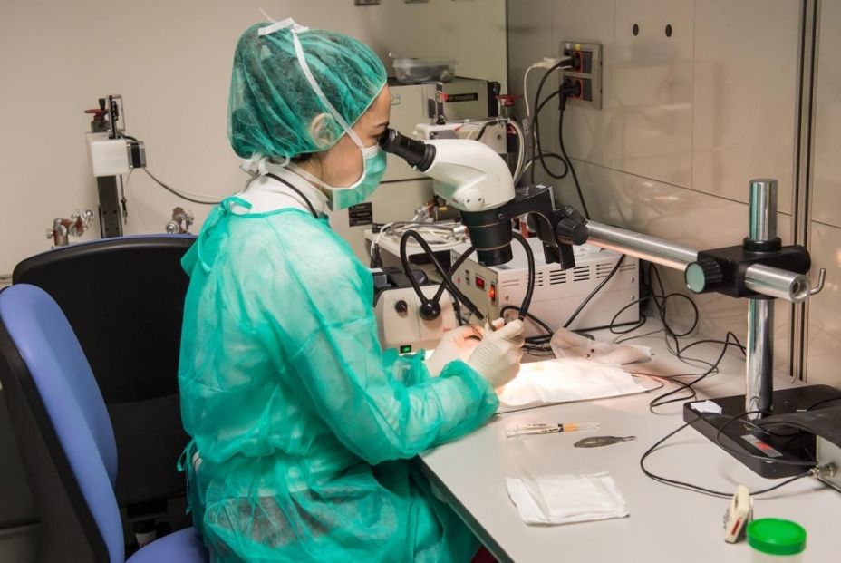 Desarrollan hidrogeles que permiten cultivar células para curar las lesiones de la médula espinal (Europa Press) Desarrollan hidrogeles que permiten cultivar células para curar las lesiones de la médula espinal (Europa Press)