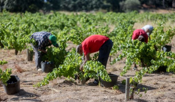 El Gobierno recuperará el coeficiente de parcialidad para la jubilación de los fijos discontinuos